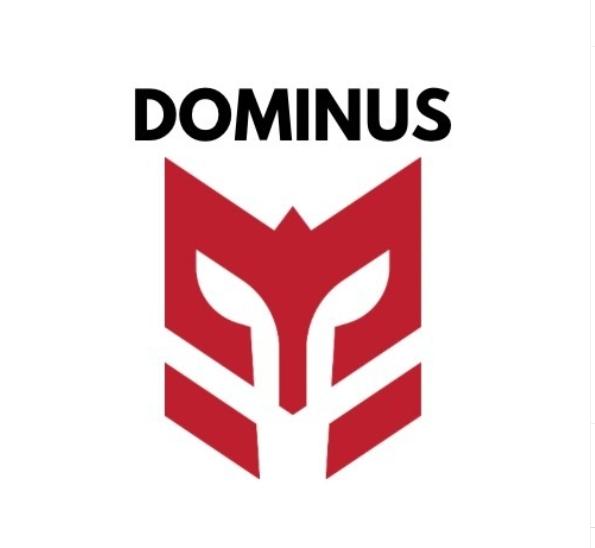 SPECIAL OFFER 2 FOR £15 Dominus Performance Grip Socks.
